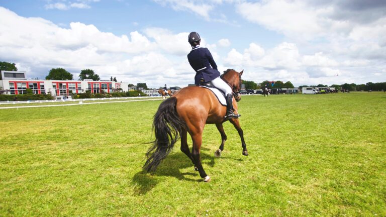 Sarah, Raymond, white, Cheryl, black, horse, jockey