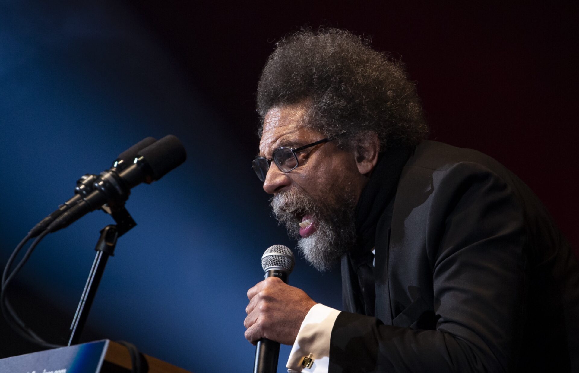 Cornel West, Michigan, ballot, election