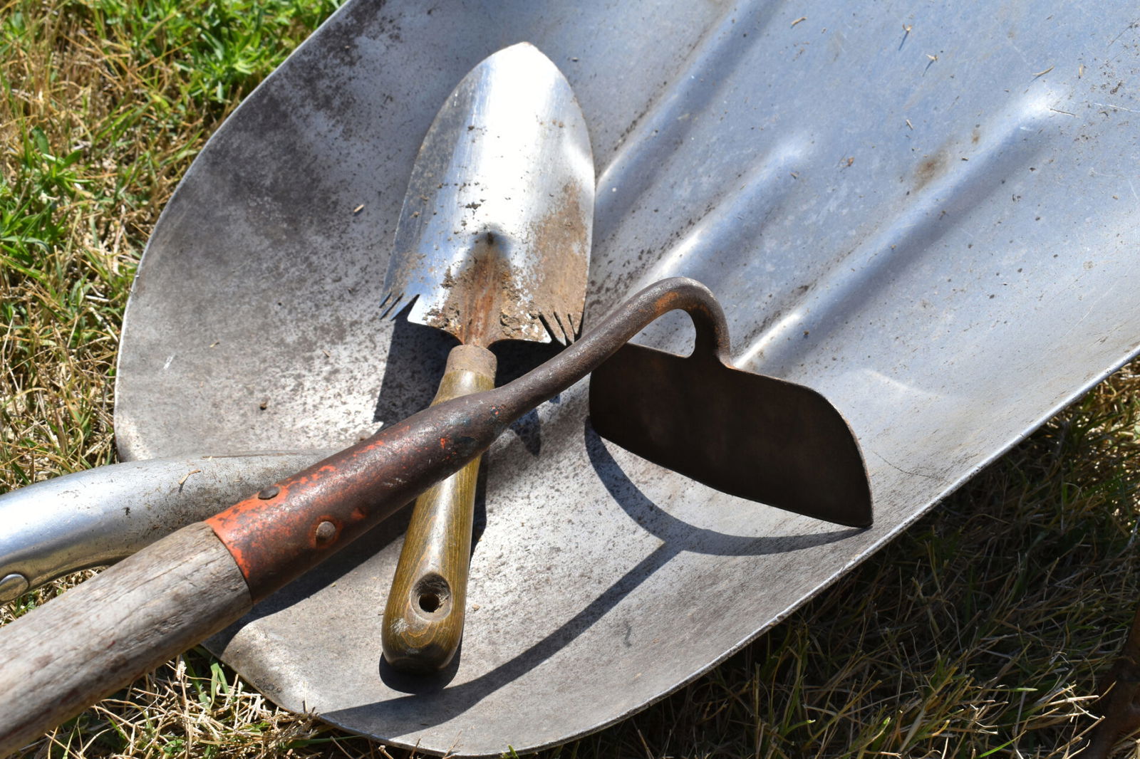 City Notifies Elderly Woman In St. Paul To Destroy Her Yard Decor Following Decades Of Work