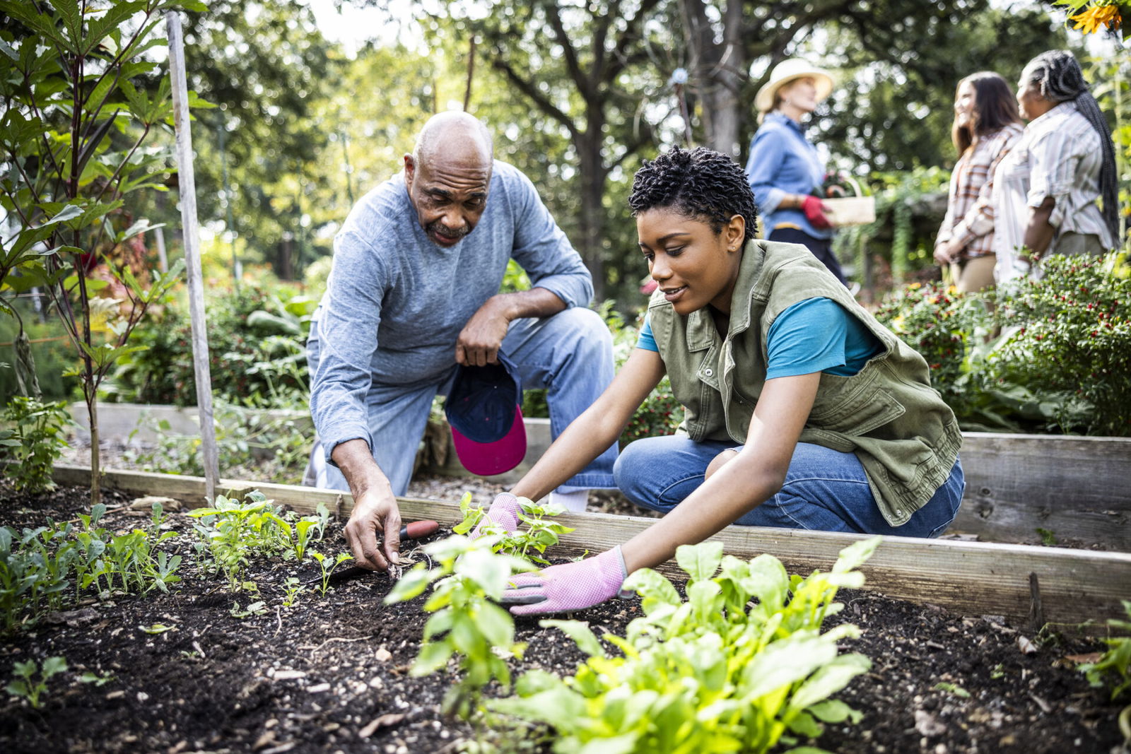 pastor, Knoxville, community garden, food apartheid