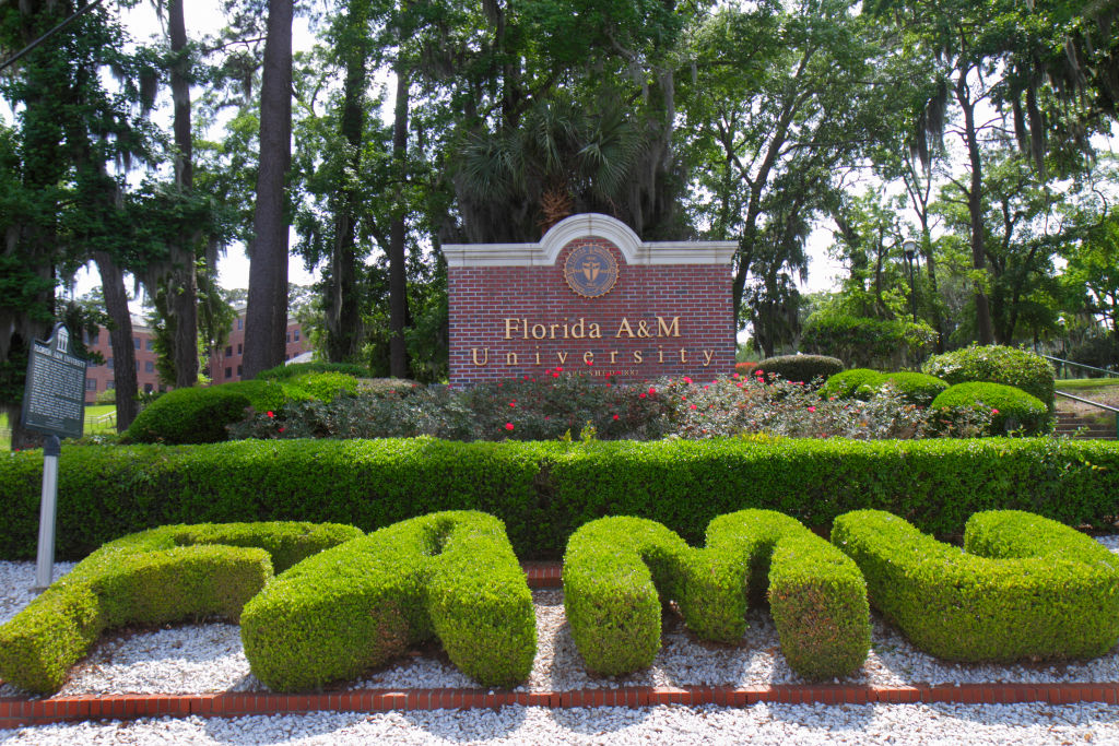 FAMU, Florida A&M University, FAMU Board Of Trustees, Dubious Donation