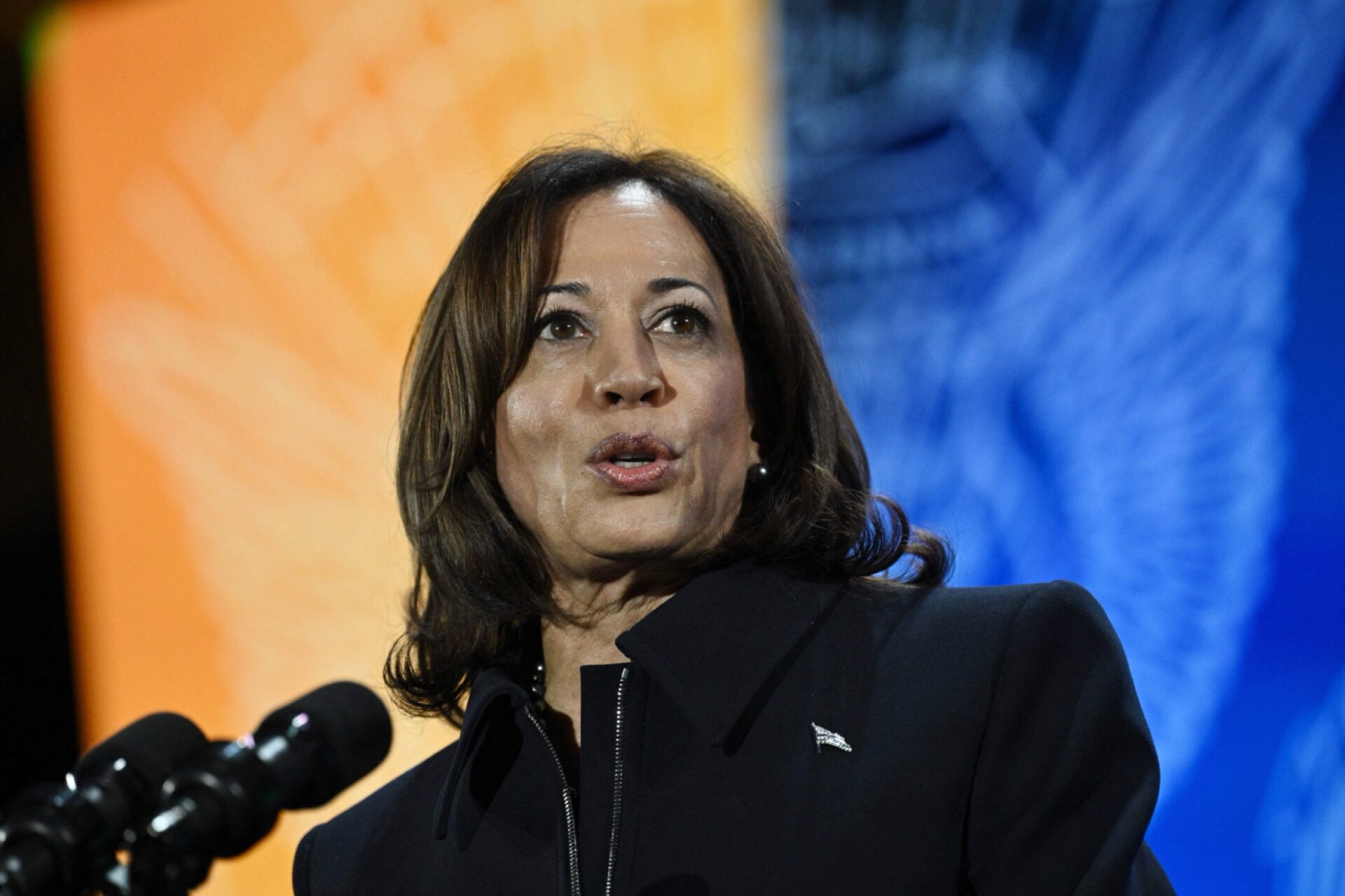 Kamala Harris, vice president, abortion, Roe vs. Wade, reproduction tour freedom, presidential candidate