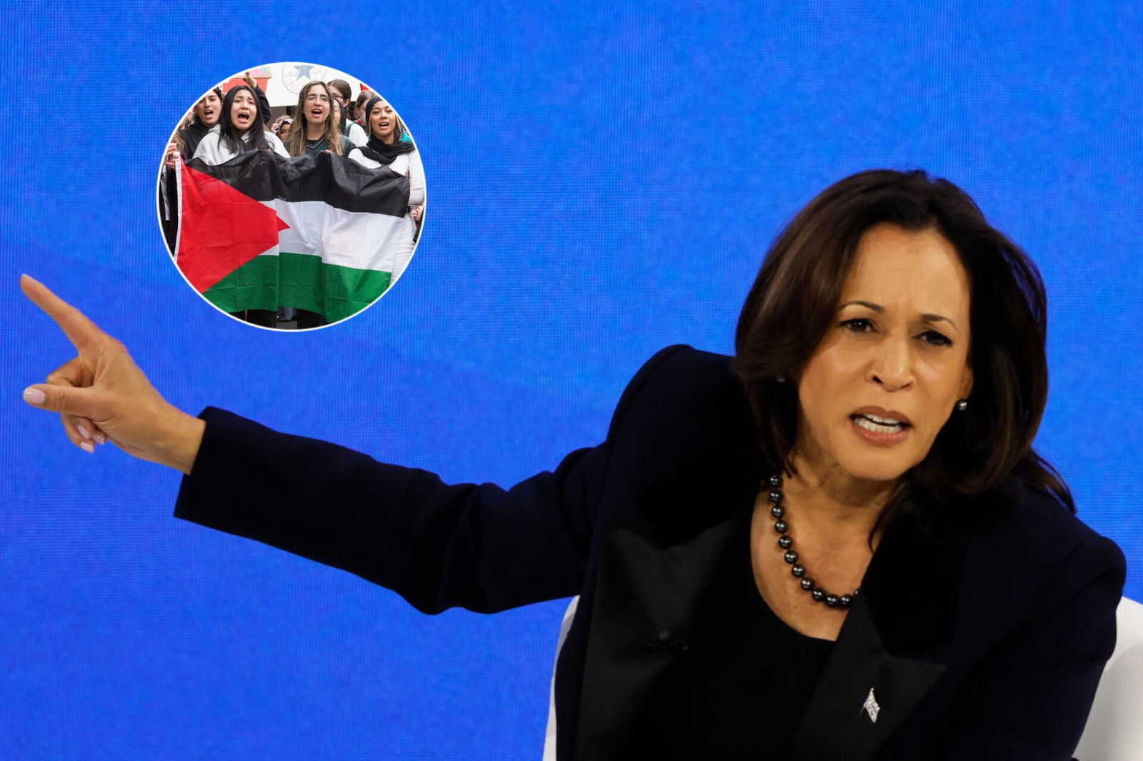 Kamala Harris, Pro-Palestine protesters, reproductive rights