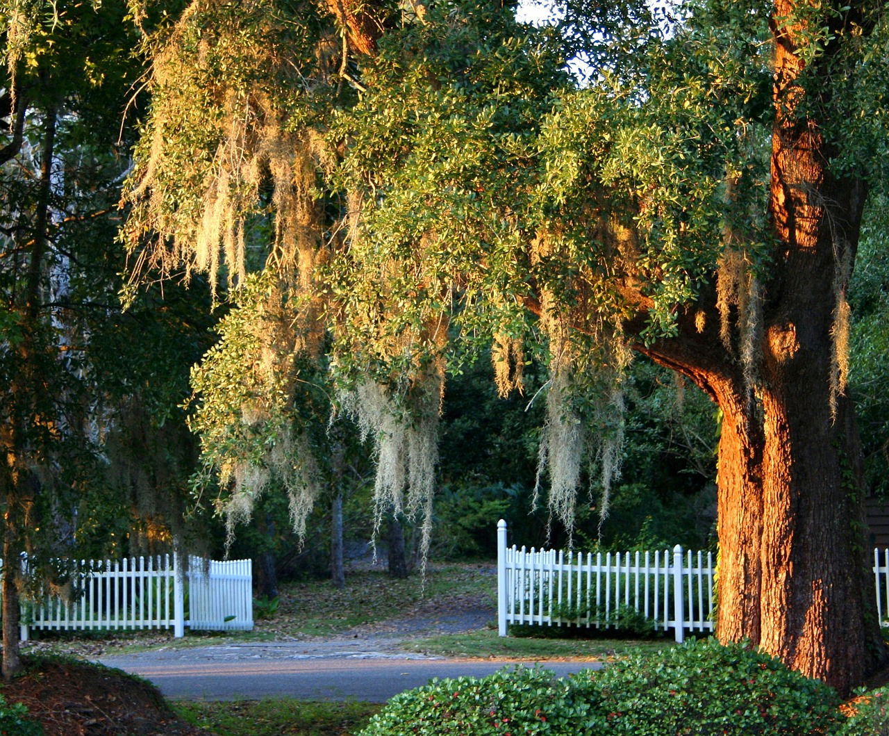 Joan Littlejohn, South Carolina, heater, Glenwood Fowler