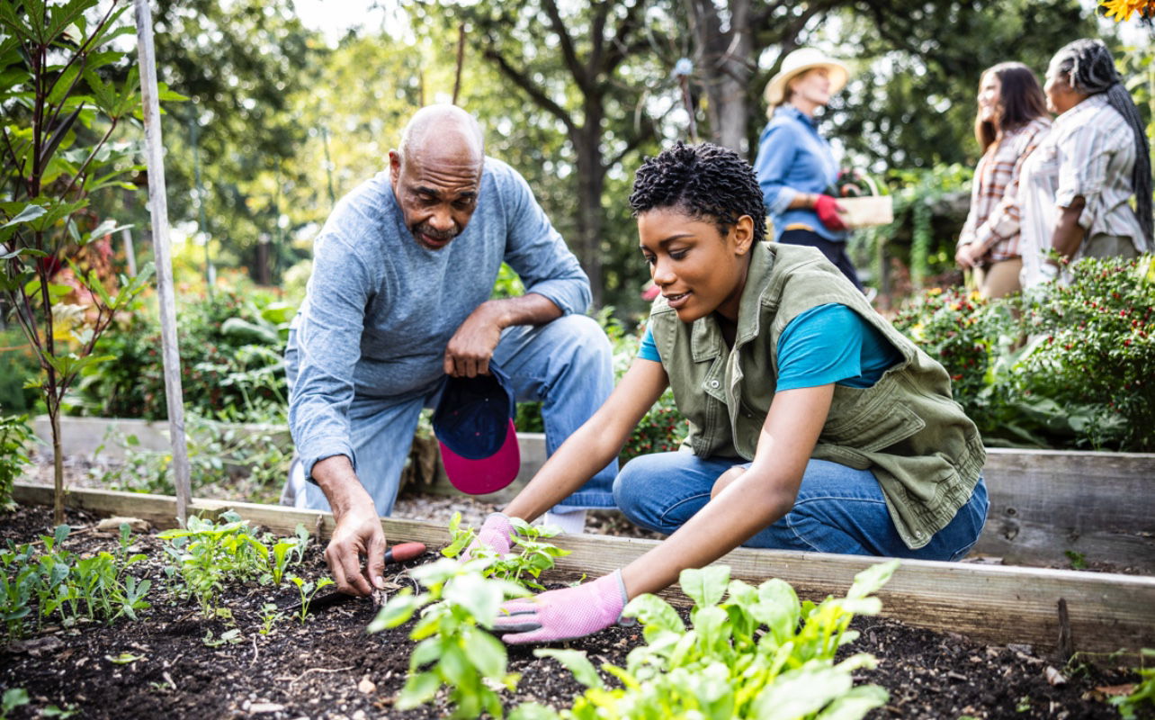 Food, Garden, Baltimore