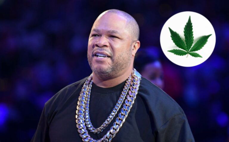 Xzibit, Cannabis Store