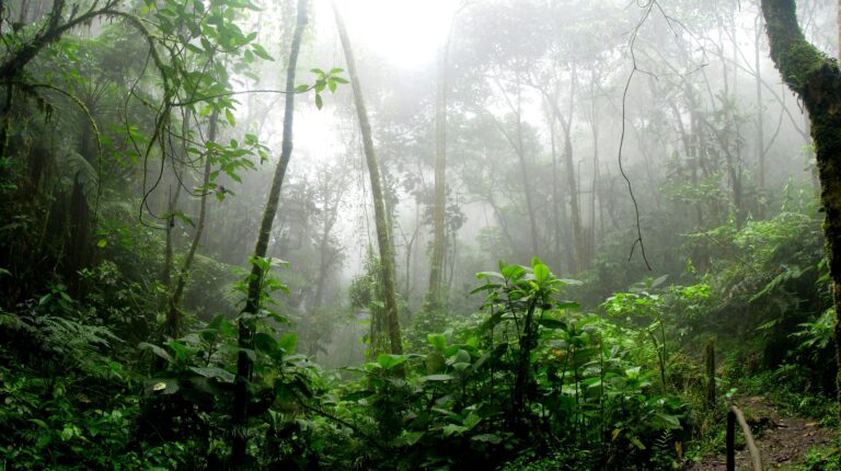 78 Dead, More Missing After Extreme Rainfall In South Brazil 