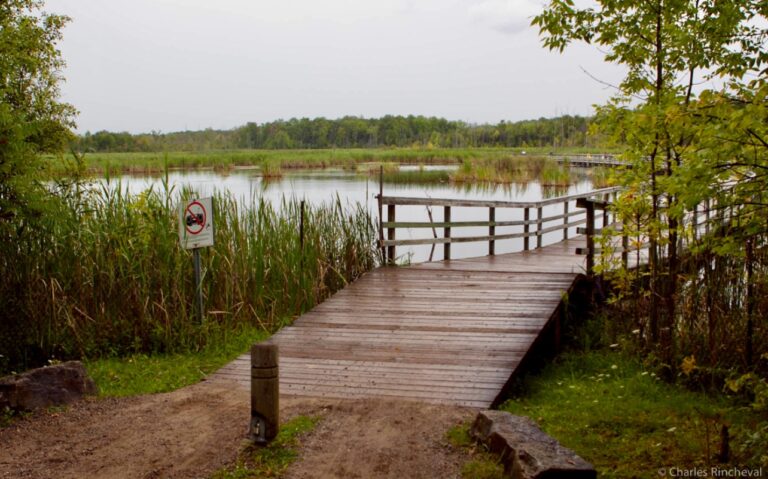 Île Bizard, Canada, International, Global