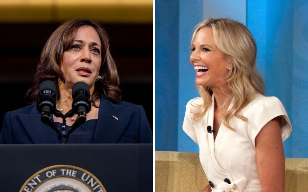 Elisabeth Hasselbeck Calls Out ‘The View’ Co-hosts For Backing Kamala Harris For President