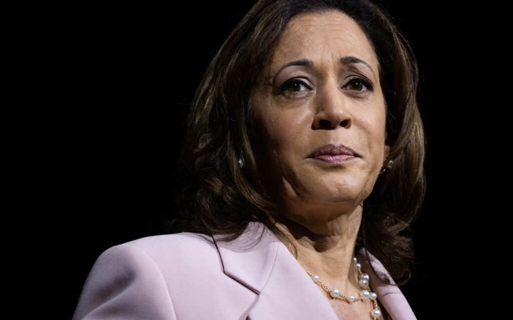 Vice President Kamala Harris Tells Hecklers To Take Shenanigans To ‘Smaller Rally’