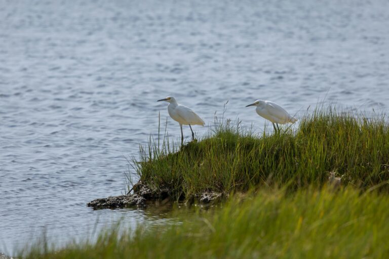 South. Florida, reservoir