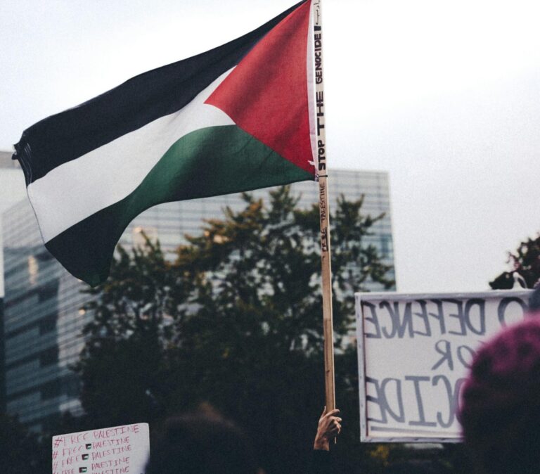 Palestian protests, dnc