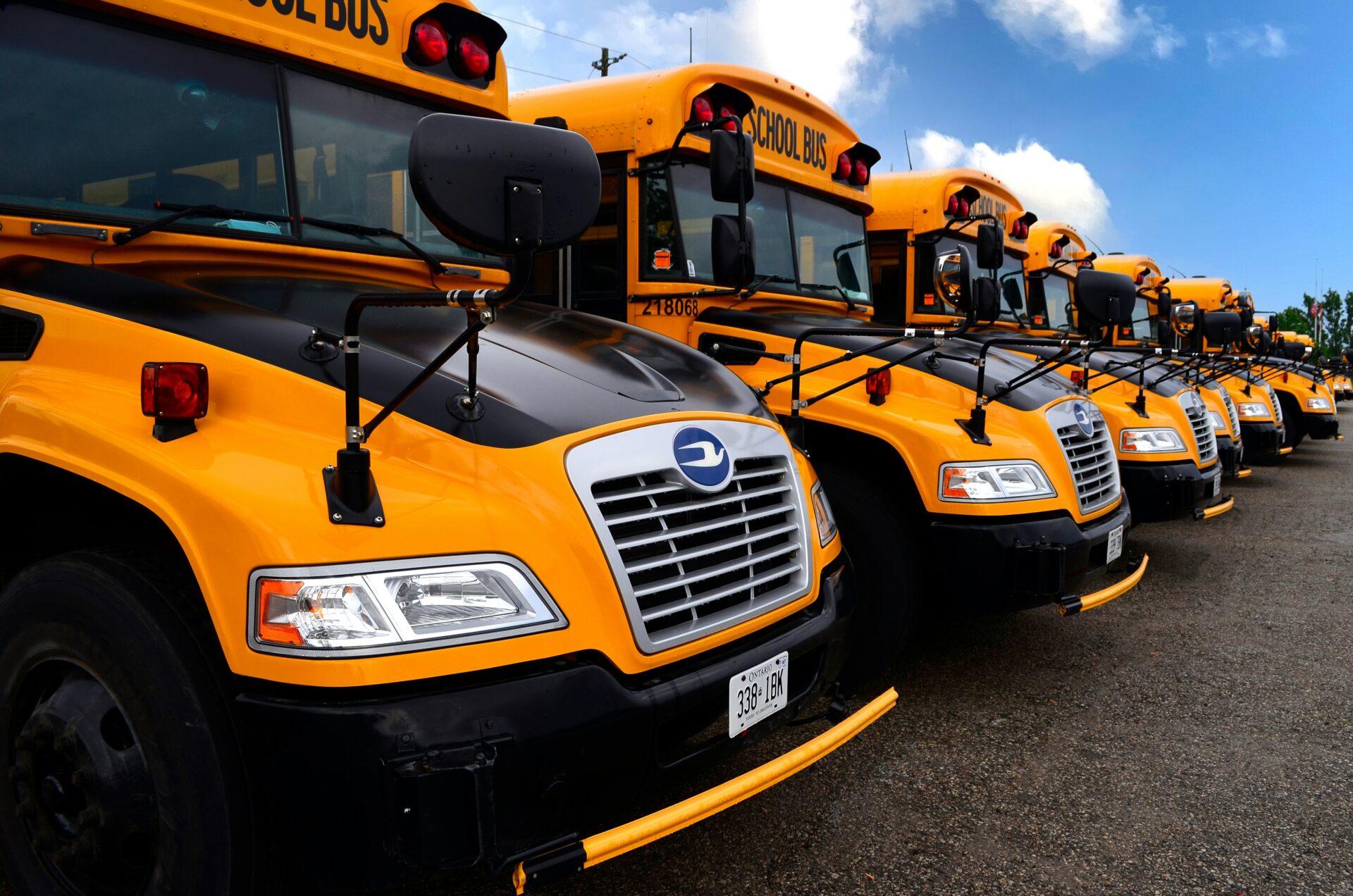 School buses lined up in parking lot