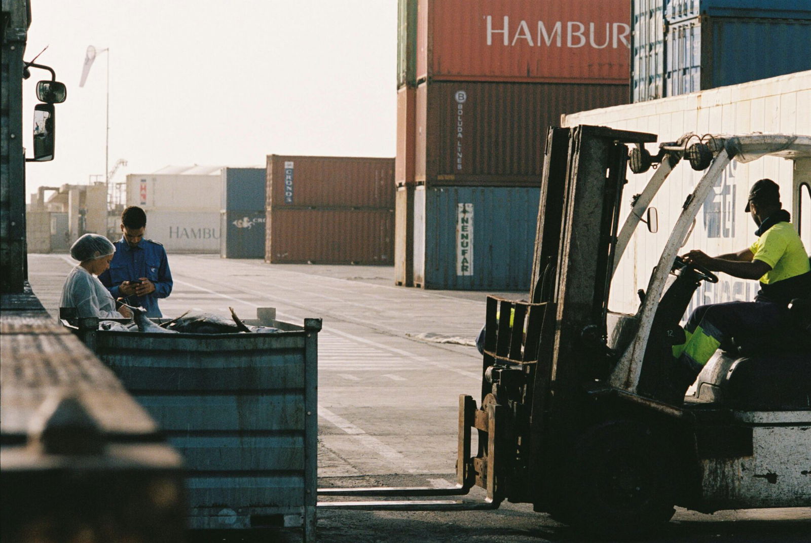 dock strike, Dockworkers Strike