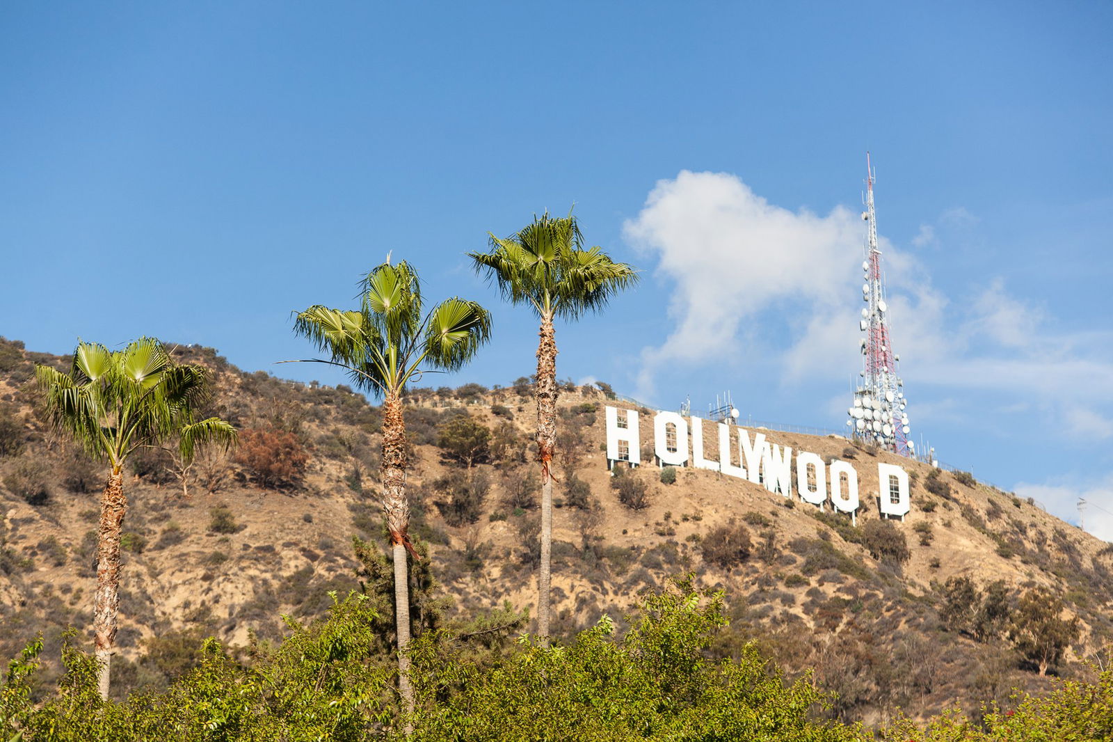 Hollywood y la lucha actual por las narrativas negras en el cine