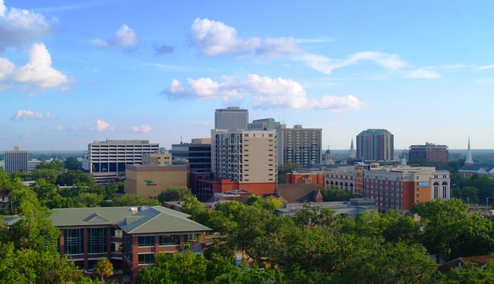 Anita Davis, Tallahassee