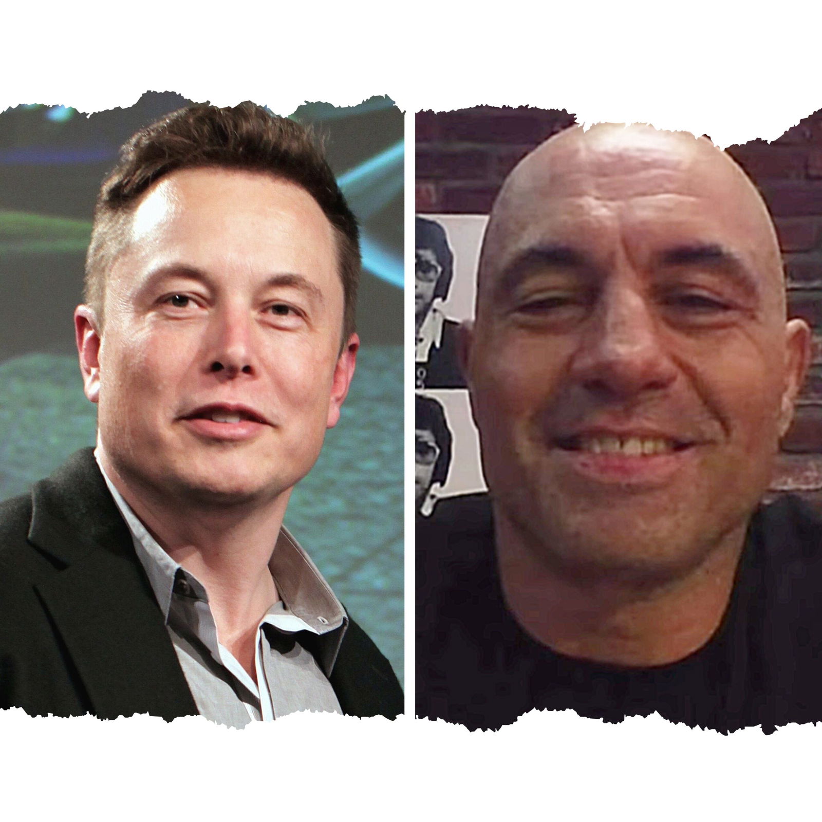 Elon Musk y Joe Rogan están contentos con la victoria de Trump