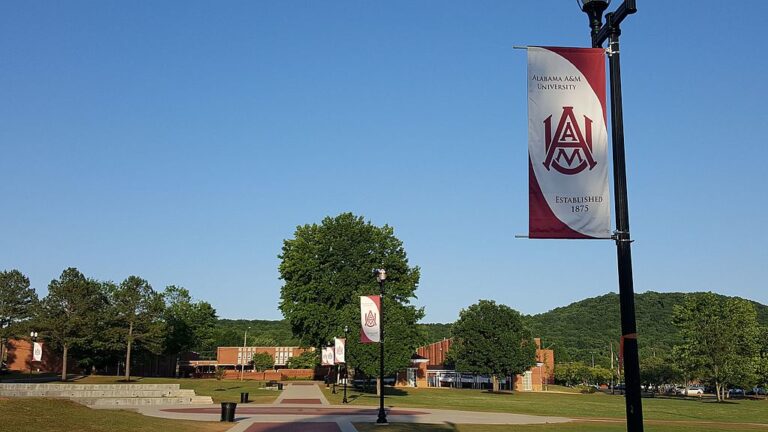 HEAD COACH, FOOTBALL.ALABAMA A&M, CONNELL MAYNOR