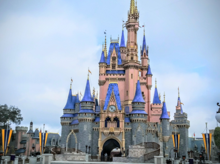 Disney World, disability, ECV,DAS policies, advocates