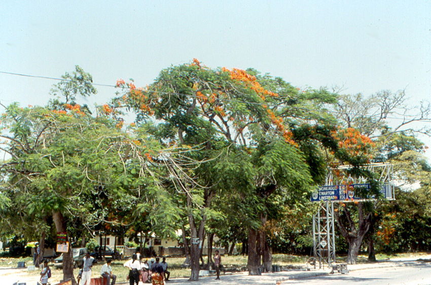 Ocho Rios, Jamaica, retired, Murray Luris, daughtter