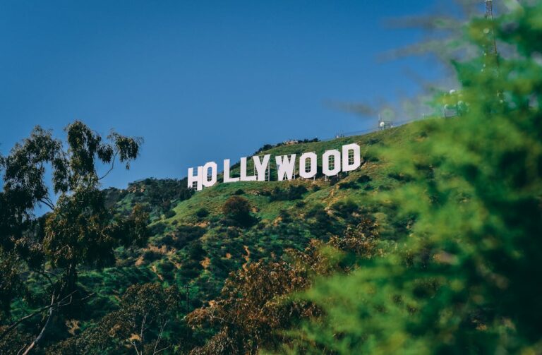 Djimon Hounsou , Hollywood