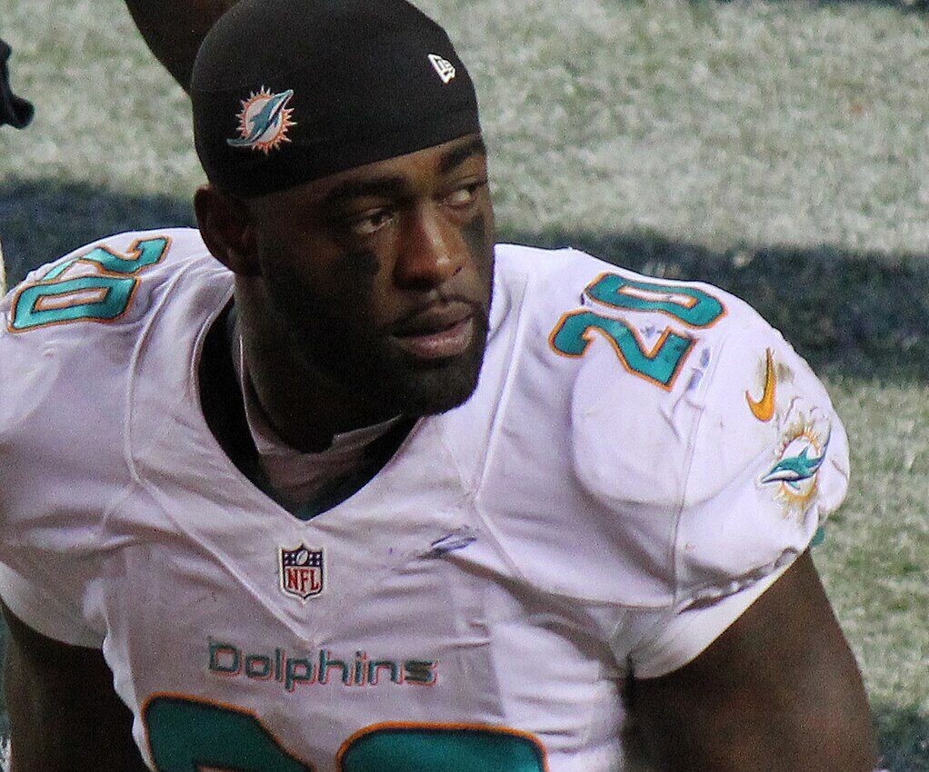 Former Miami Dolphins Player Reshad Jones Bilked Out Of $2.58M, Woman Arrested